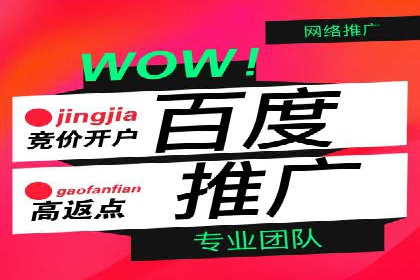 探索百度竞价广告的未来趋势：基于多案例的分析
